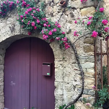Patio Bed & Breakfast